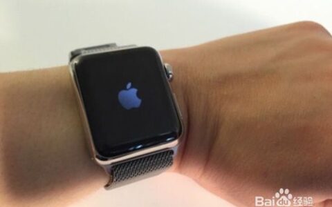 Apple Watch 设置详解 超详细教程