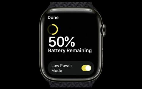 在 Apple Watch 上使用“低电量模式”